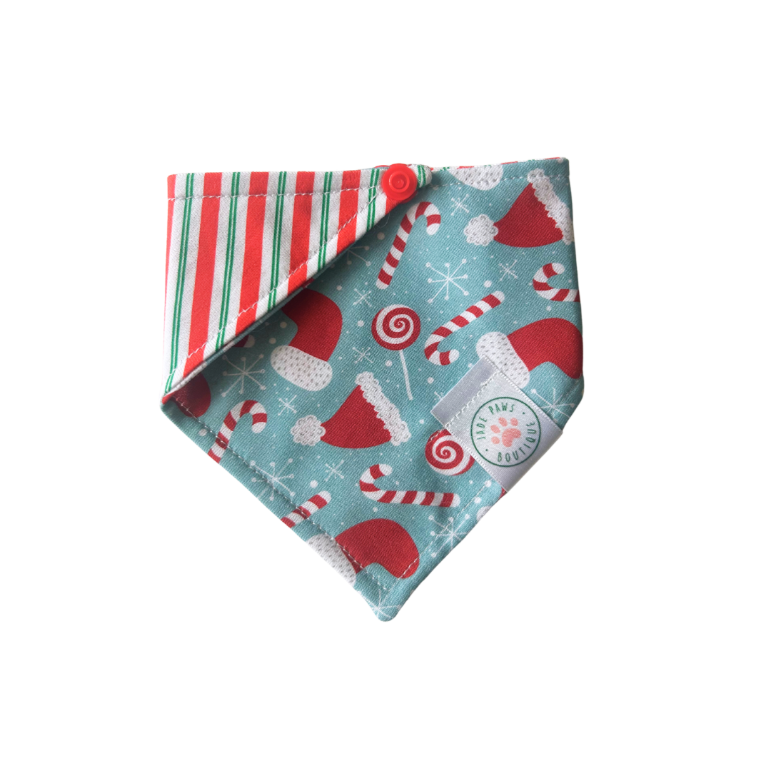 Santa Surprise Bandana